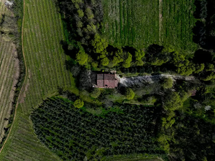 Immagine 5 di Terreno in vendita  in VIA MANDOLARI a Este