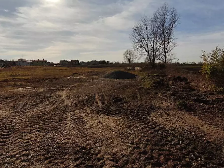Immagine 4 di Terreno in vendita  in San giorgio di Livenza a Caorle