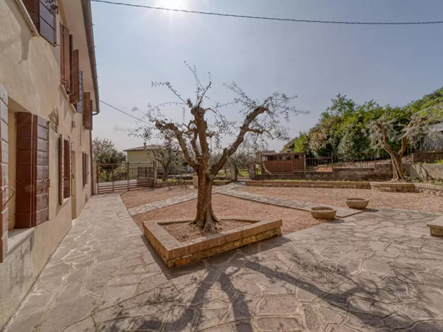 Immagine 9 di Casa indipendente in vendita  in Via Solana a Monselice