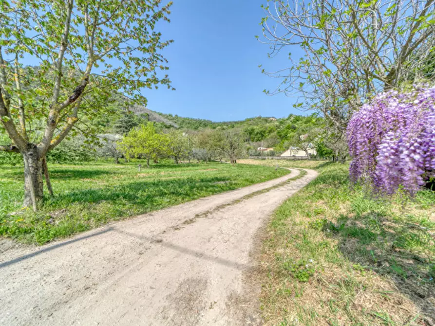 Immagine 19 di Casa indipendente in vendita  in Via Solana a Monselice