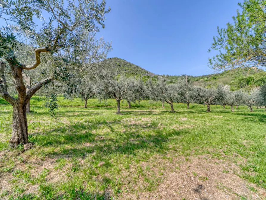 Immagine 20 di Casa indipendente in vendita  in Via Solana a Monselice