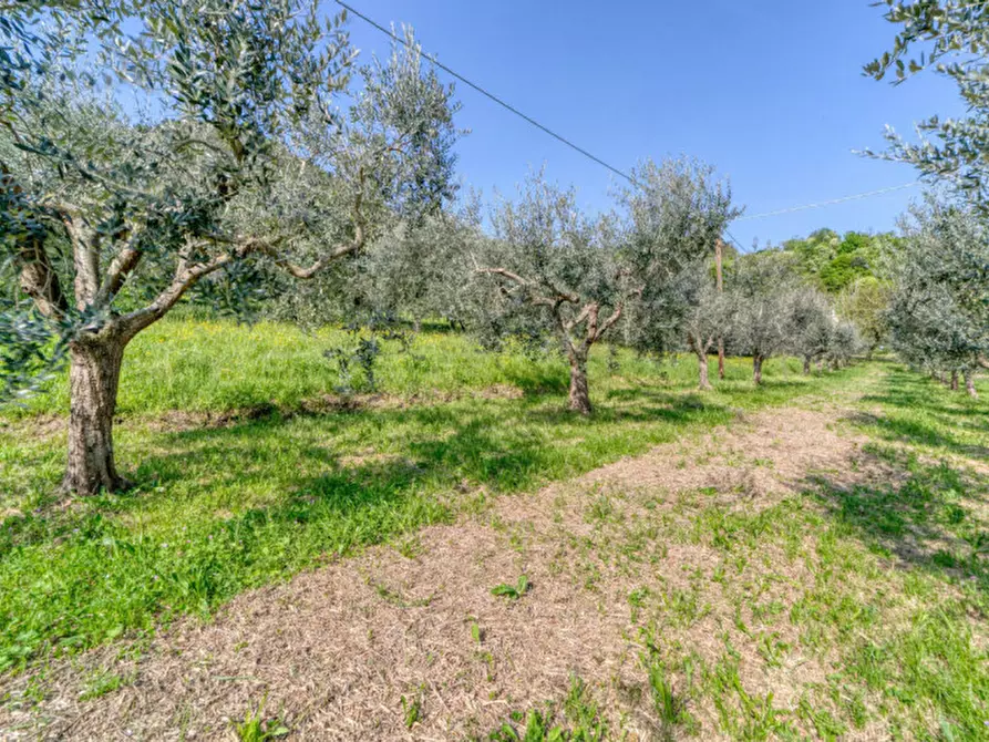 Immagine 21 di Casa indipendente in vendita  in Via Solana a Monselice