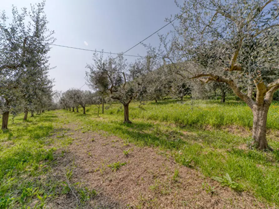 Immagine 22 di Casa indipendente in vendita  in Via Solana a Monselice