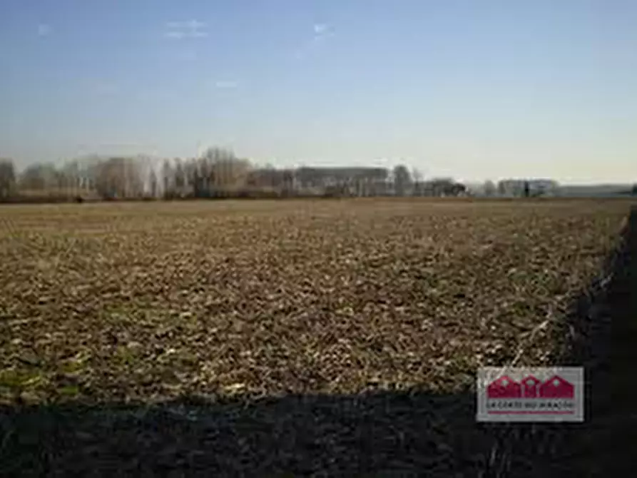 Immagine 5 di Terreno in vendita  in Via Marconi a Torri Di Quartesolo