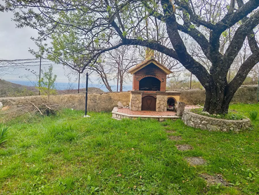Immagine 7 di Villa in vendita  in Via della Pineta 81 a Monteflavio