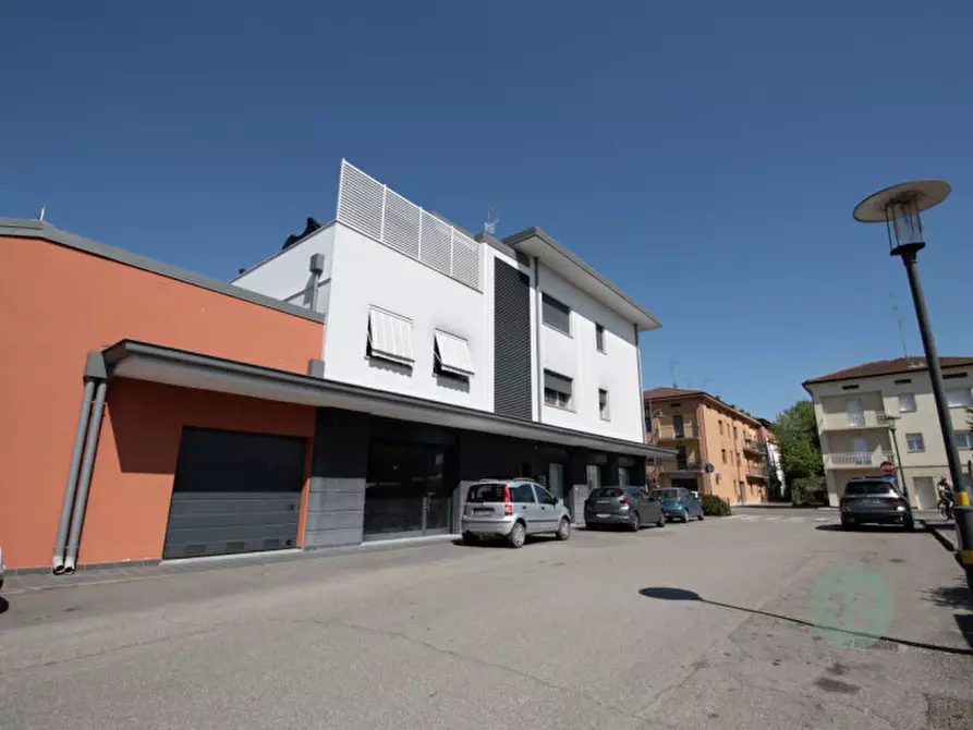 Immagine 18 di Appartamento in vendita  a Novi Di Modena