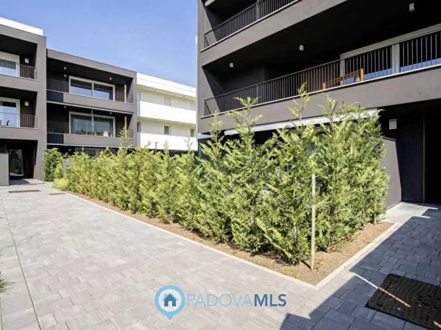 Immagine 21 di Appartamento in vendita  in Via Rovereto a Mestrino