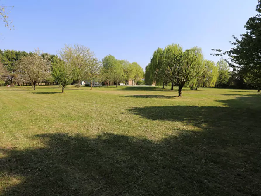 Immagine 11 di Villa in vendita  in via bandizzà a Nanto