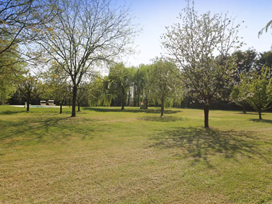 Immagine 13 di Villa in vendita  in via bandizzà a Nanto