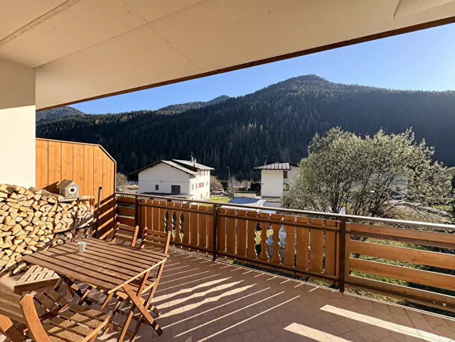 Immagine 5 di Appartamento in vendita  in Via Ansiei a Auronzo Di Cadore
