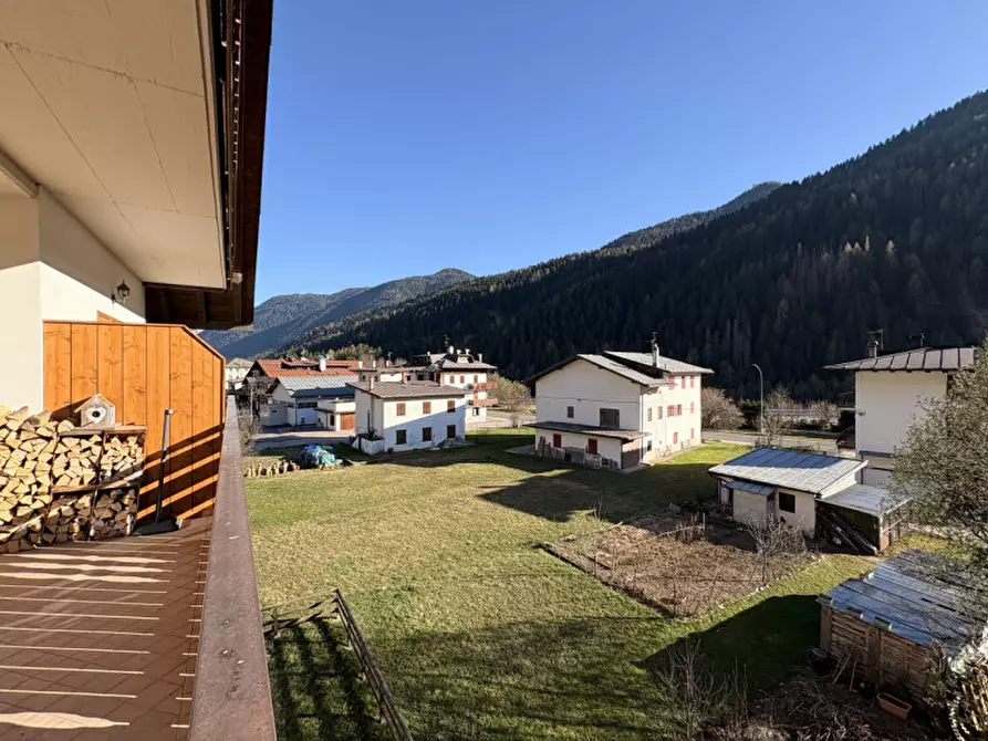 Immagine 7 di Appartamento in vendita  in Via Ansiei a Auronzo Di Cadore