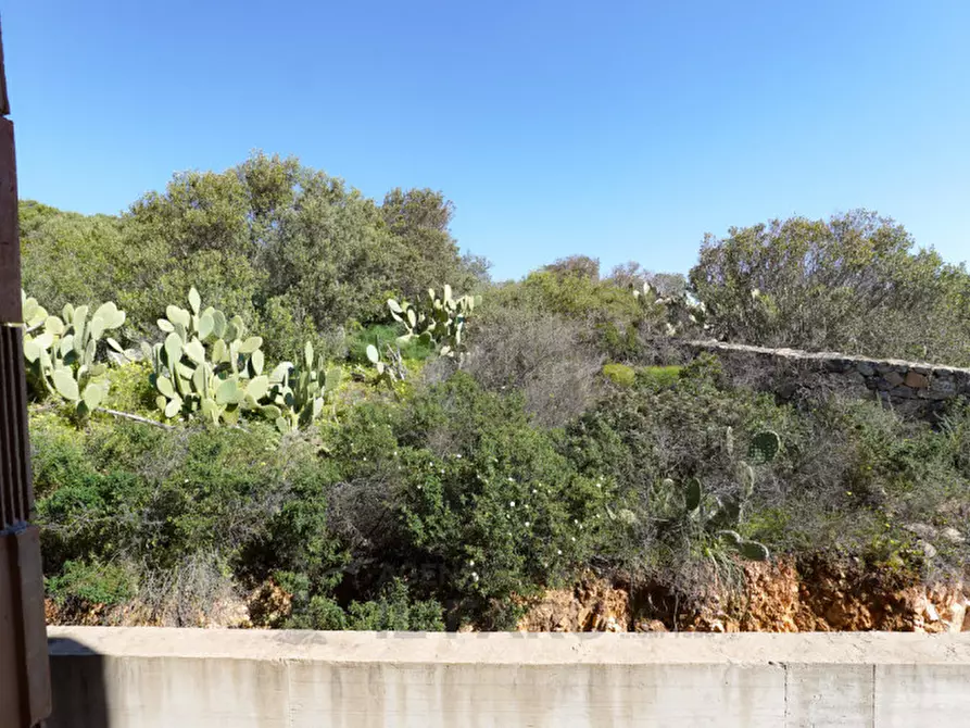 Immagine 18 di Villa in vendita  in Via Caio Duilio a La Maddalena