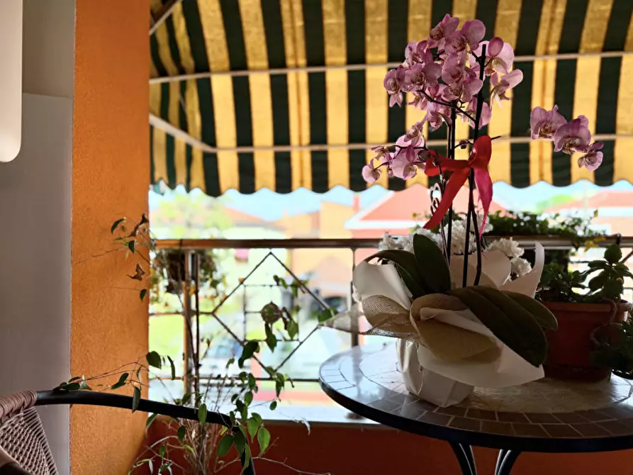 Immagine 20 di Casa bifamiliare in vendita  a Padova