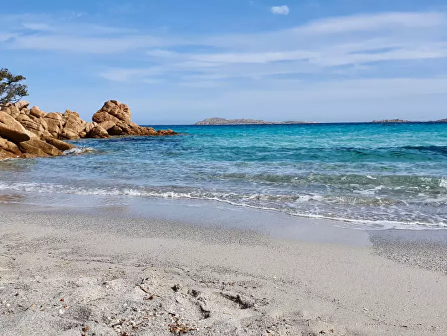 Immagine 5 di Villetta a schiera in vendita  a Arzachena