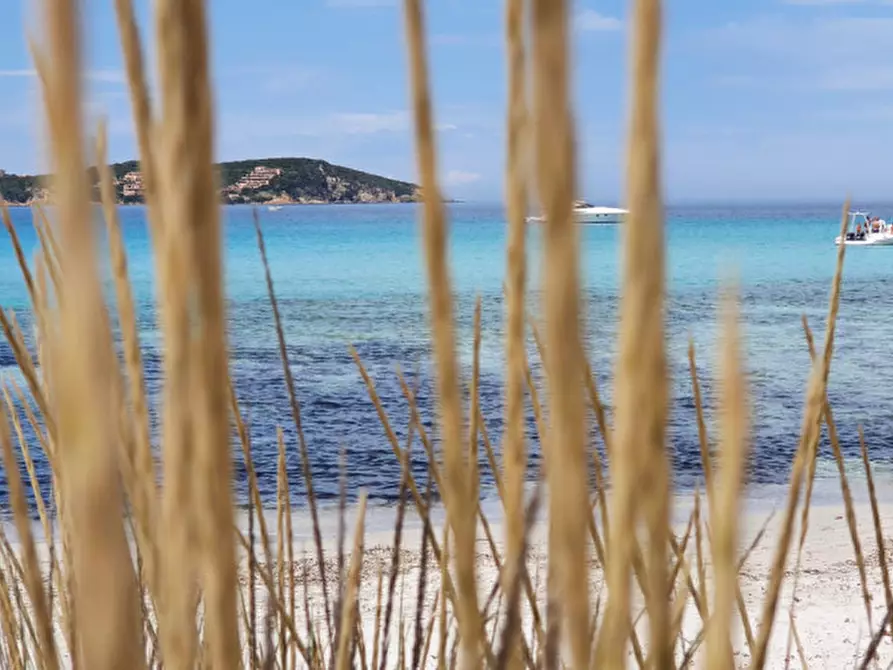 Immagine 6 di Villetta a schiera in vendita  a Arzachena