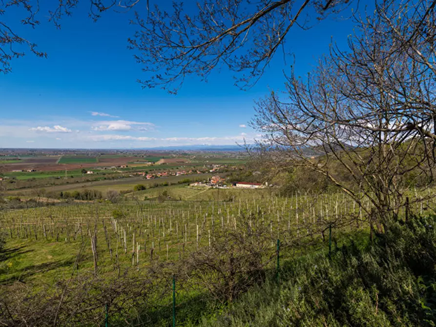 Immagine 2 di Rustico / casale in vendita  in VIA MANDOLARI a Este
