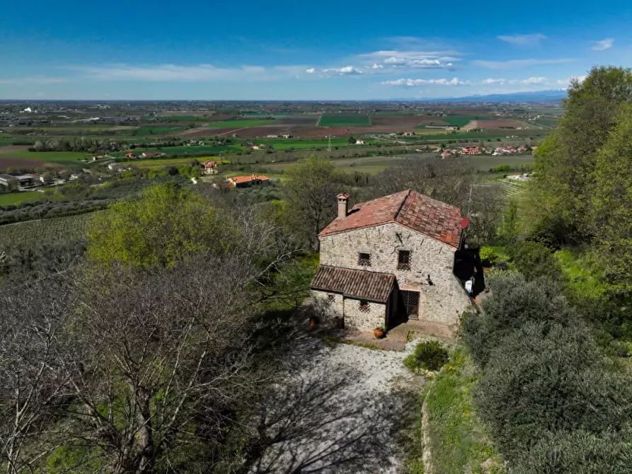Immagine 6 di Rustico / casale in vendita  in VIA MANDOLARI a Este