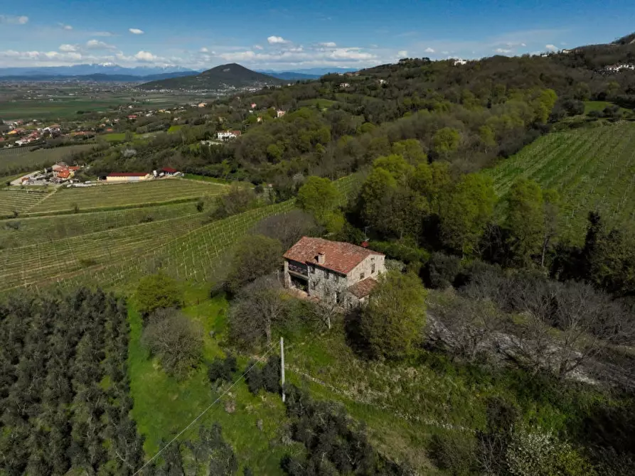 Immagine 24 di Rustico / casale in vendita  in VIA MANDOLARI a Este