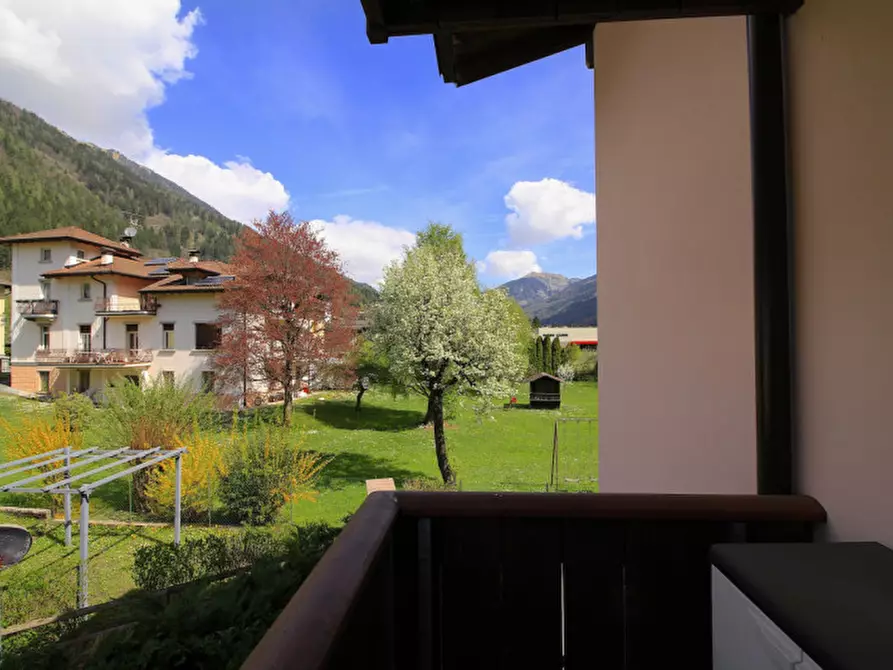 Immagine 11 di Appartamento in vendita  in Frazione Borzago 30 a Spiazzo