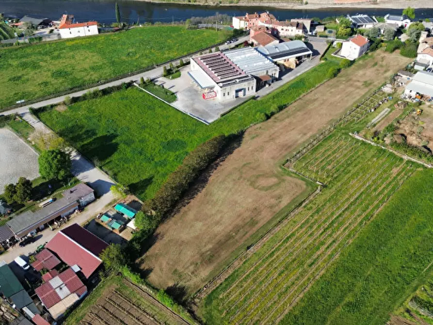 Immagine 3 di Terreno in vendita  in via prognetta a Pescantina
