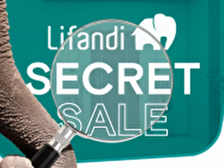 Immagine 2 di Attività commerciale in vendita  in via Nazionale a Salorno .Salurn.