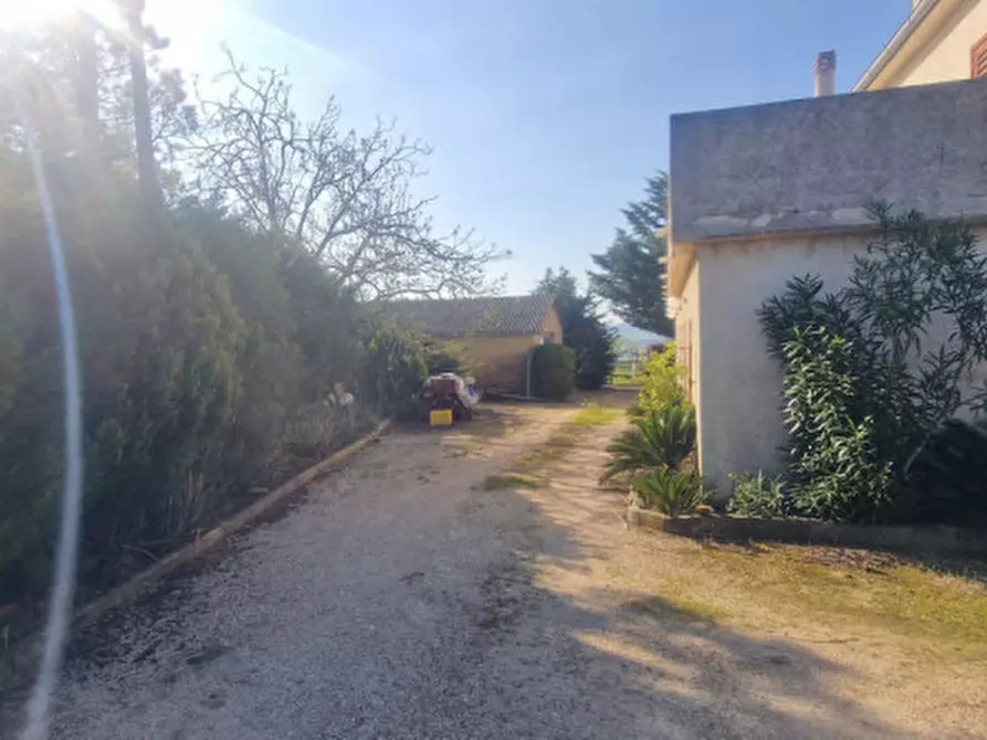 Immagine 4 di Rustico / casale in vendita  in direzione quattro strade elice a Città Sant'angelo