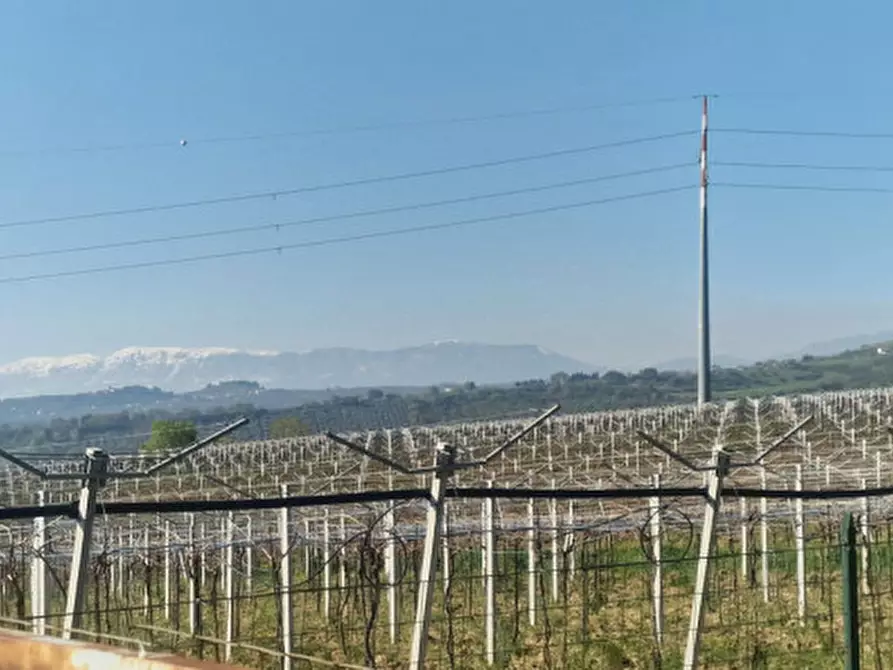 Immagine 5 di Rustico / casale in vendita  in direzione quattro strade elice a Città Sant'angelo