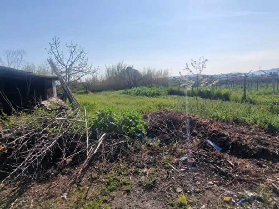 Immagine 6 di Rustico / casale in vendita  in direzione quattro strade elice a Città Sant'angelo