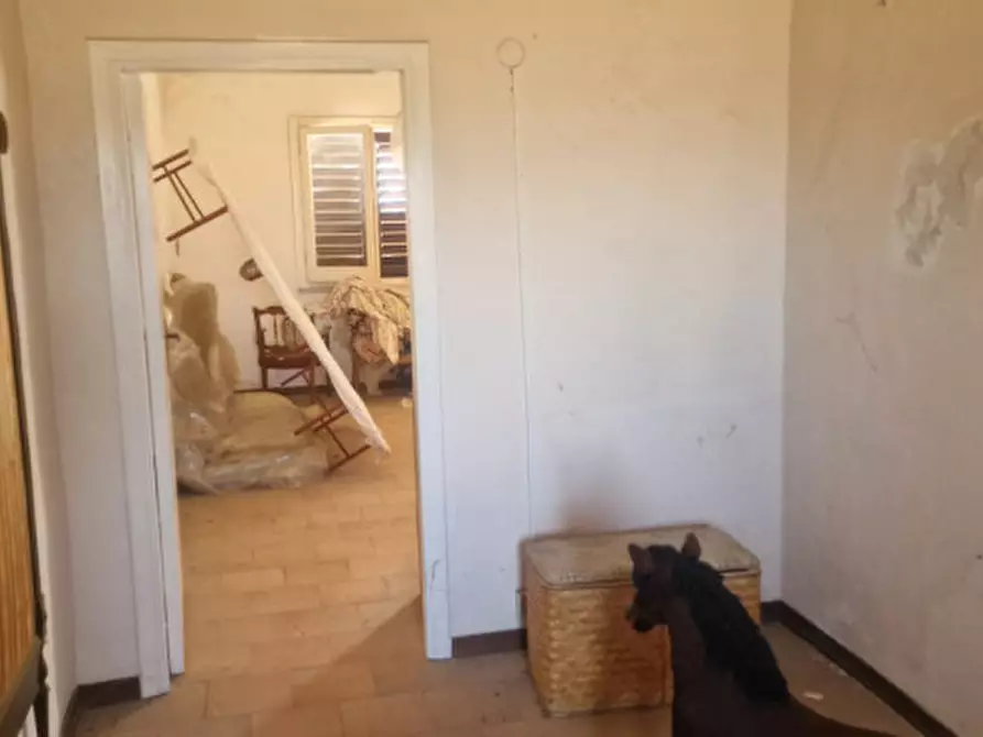 Immagine 12 di Rustico / casale in vendita  in direzione quattro strade elice a Città Sant'angelo