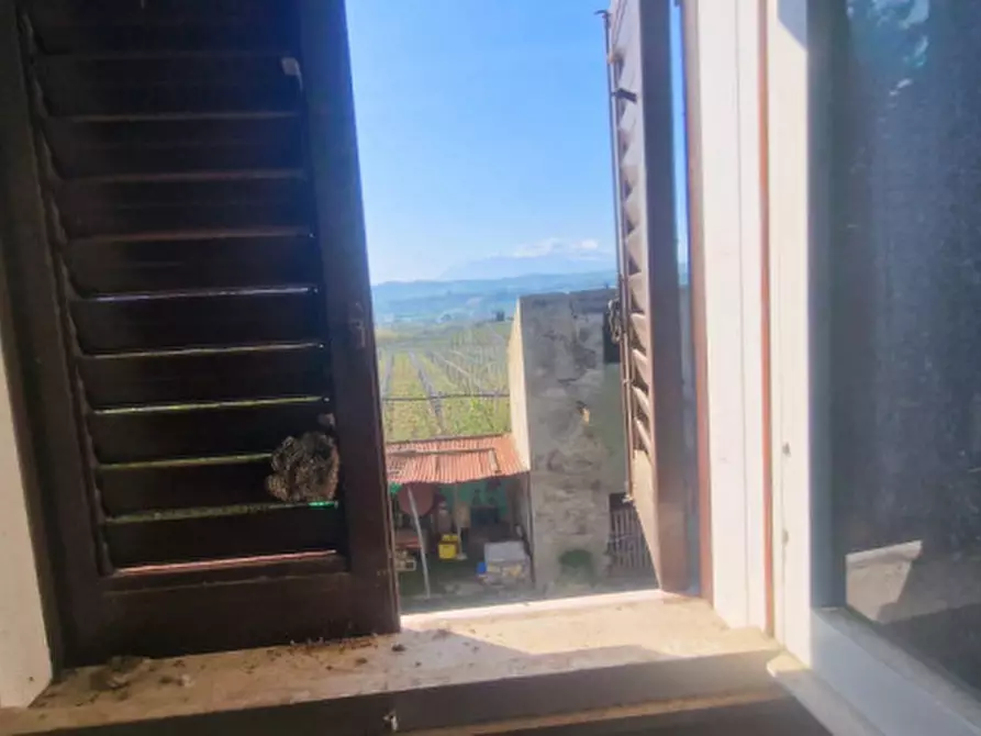 Immagine 17 di Rustico / casale in vendita  in direzione quattro strade elice a Città Sant'angelo