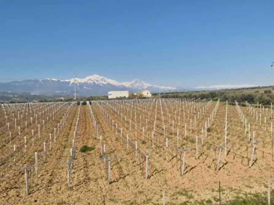 Immagine 19 di Rustico / casale in vendita  in direzione quattro strade elice a Città Sant'angelo