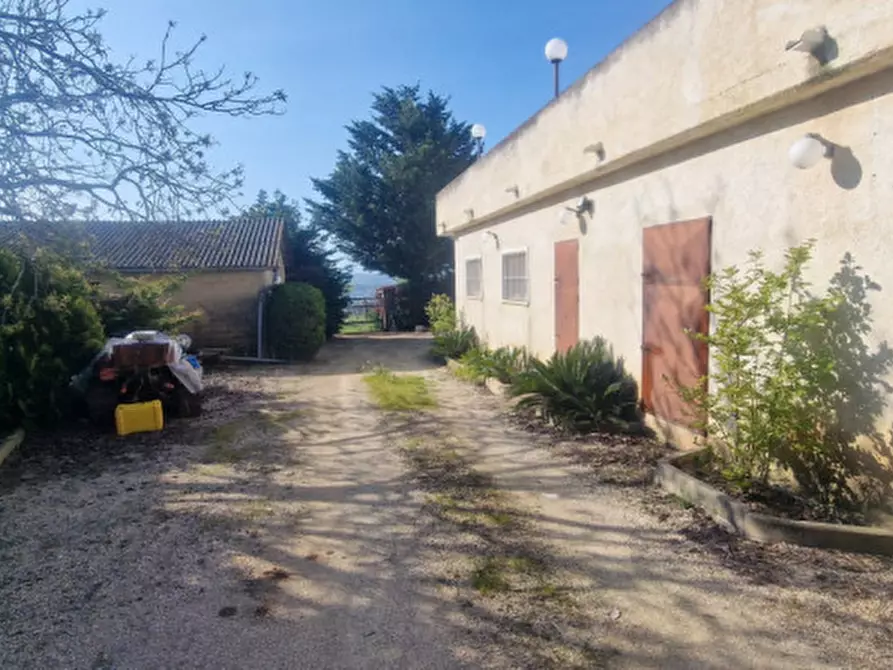 Immagine 26 di Rustico / casale in vendita  in direzione quattro strade elice a Città Sant'angelo