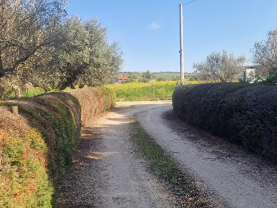 Immagine 30 di Rustico / casale in vendita  in direzione quattro strade elice a Città Sant'angelo