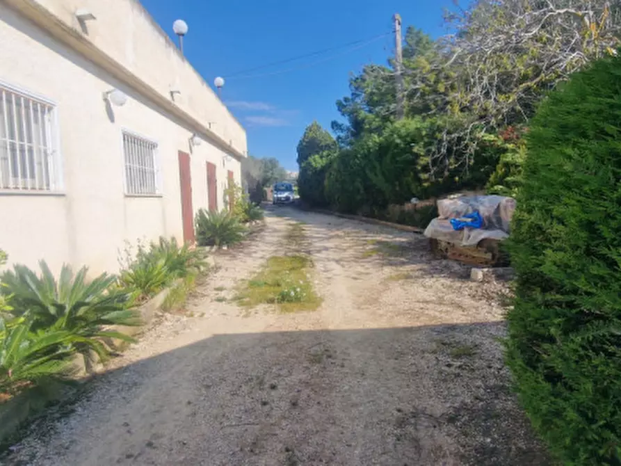 Immagine 32 di Rustico / casale in vendita  in direzione quattro strade elice a Città Sant'angelo