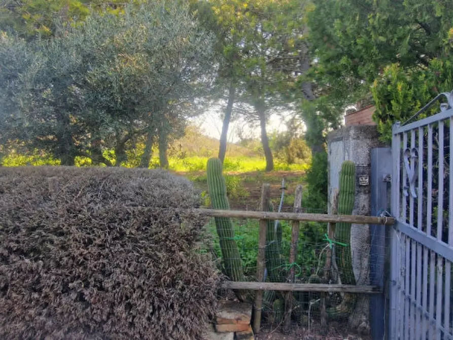 Immagine 34 di Rustico / casale in vendita  in direzione quattro strade elice a Città Sant'angelo