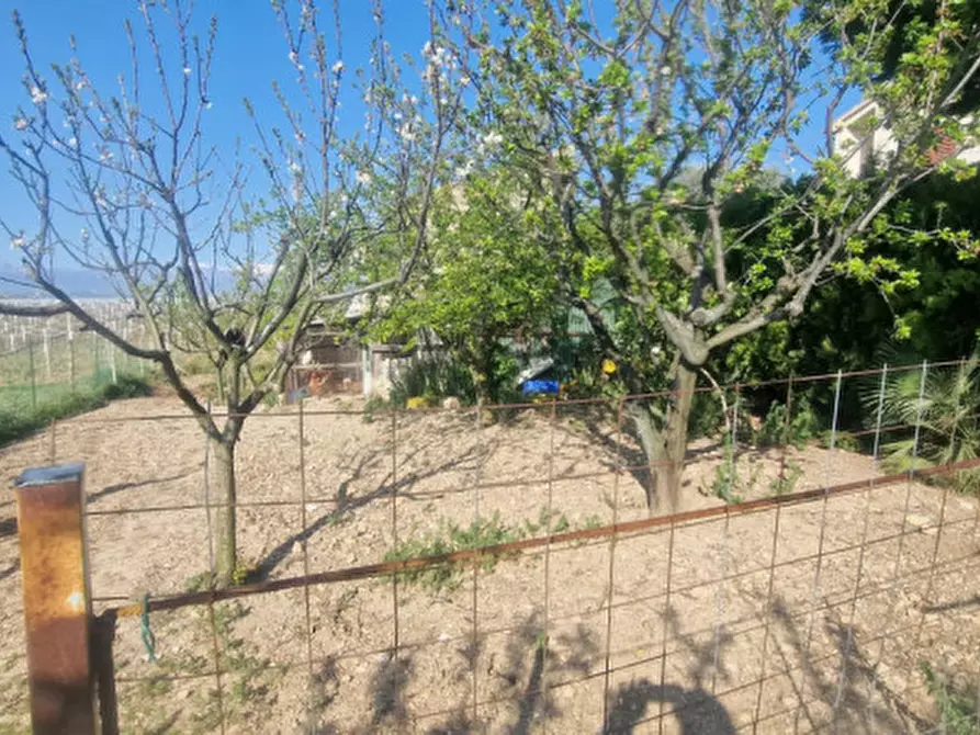 Immagine 35 di Rustico / casale in vendita  in direzione quattro strade elice a Città Sant'angelo