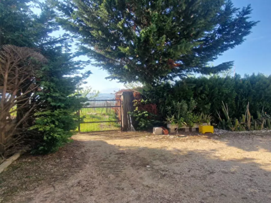 Immagine 37 di Rustico / casale in vendita  in direzione quattro strade elice a Città Sant'angelo