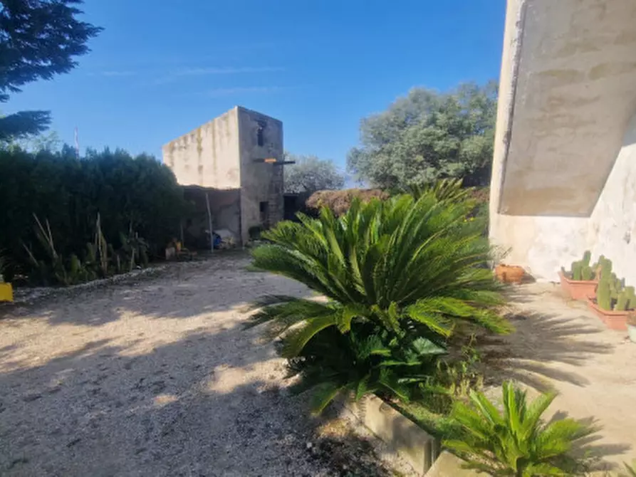 Immagine 45 di Rustico / casale in vendita  in direzione quattro strade elice a Città Sant'angelo