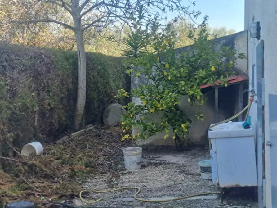 Immagine 47 di Rustico / casale in vendita  in direzione quattro strade elice a Città Sant'angelo