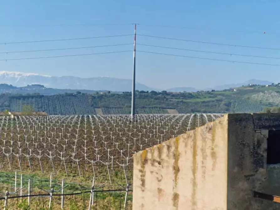 Immagine 50 di Rustico / casale in vendita  in direzione quattro strade elice a Città Sant'angelo