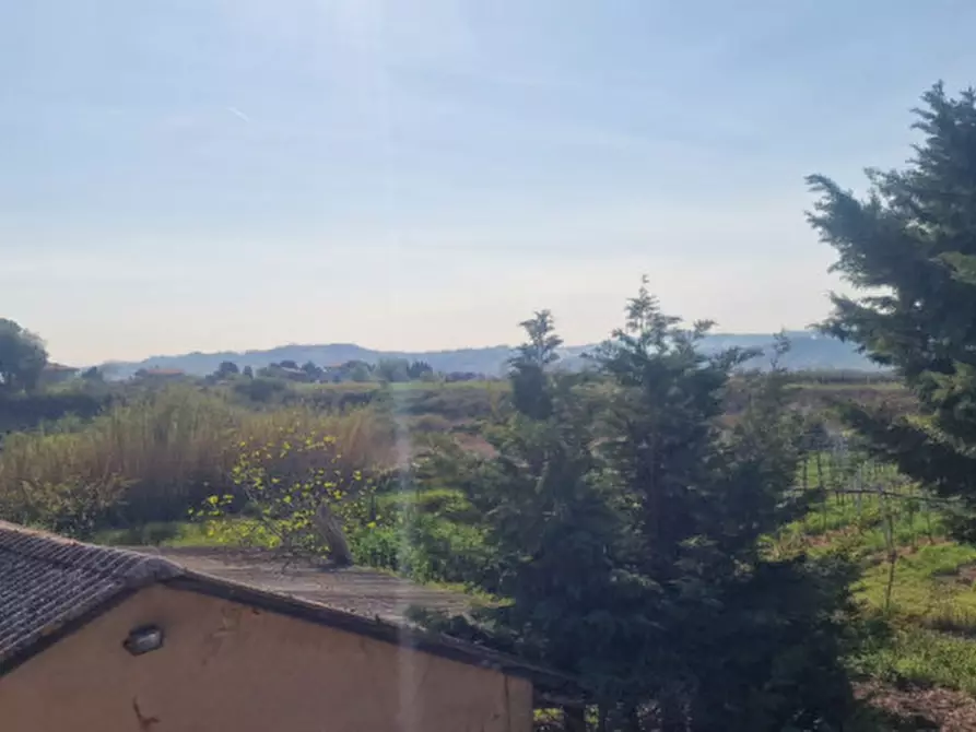 Immagine 51 di Rustico / casale in vendita  in direzione quattro strade elice a Città Sant'angelo