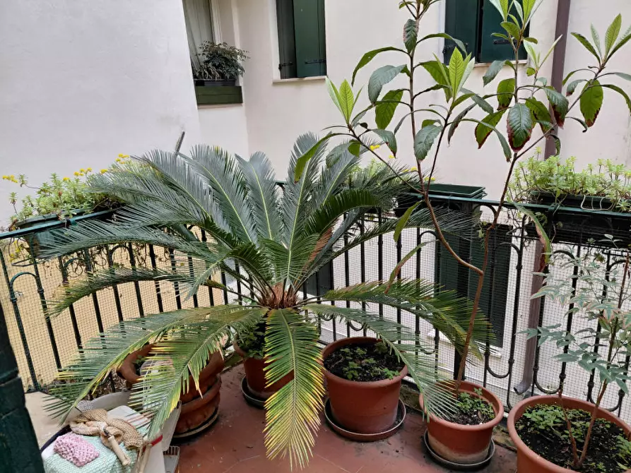 Immagine 13 di Appartamento in vendita  in via Oberdan a Padova