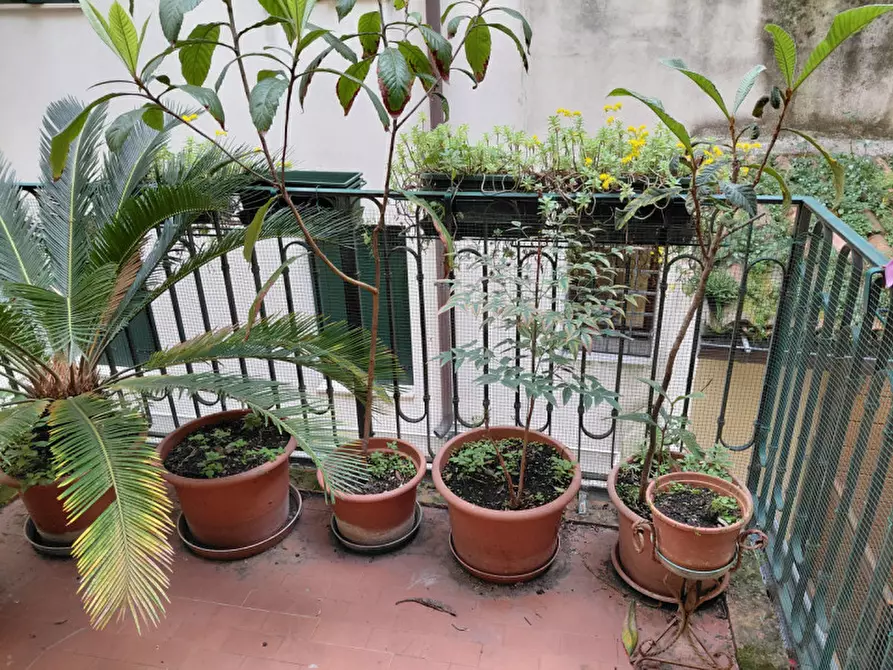 Immagine 14 di Appartamento in vendita  in via Oberdan a Padova