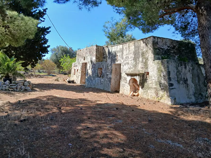 Immagine 1 di Rustico / casale in vendita  in C.da Sierri a Carovigno