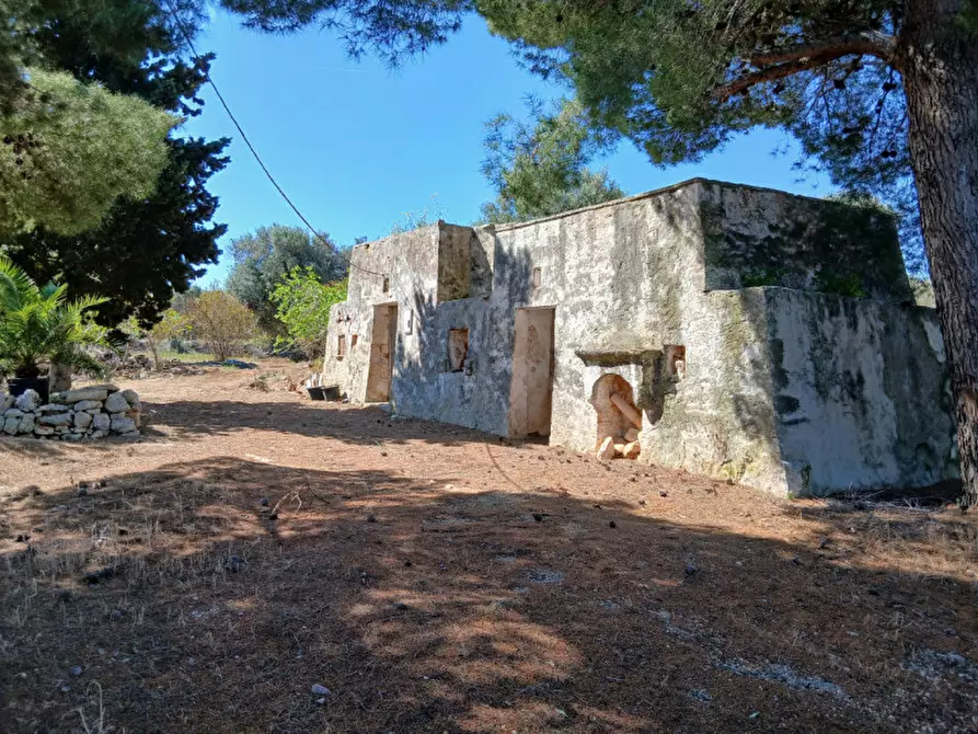Immagine 2 di Rustico / casale in vendita  in C.da Sierri a Carovigno