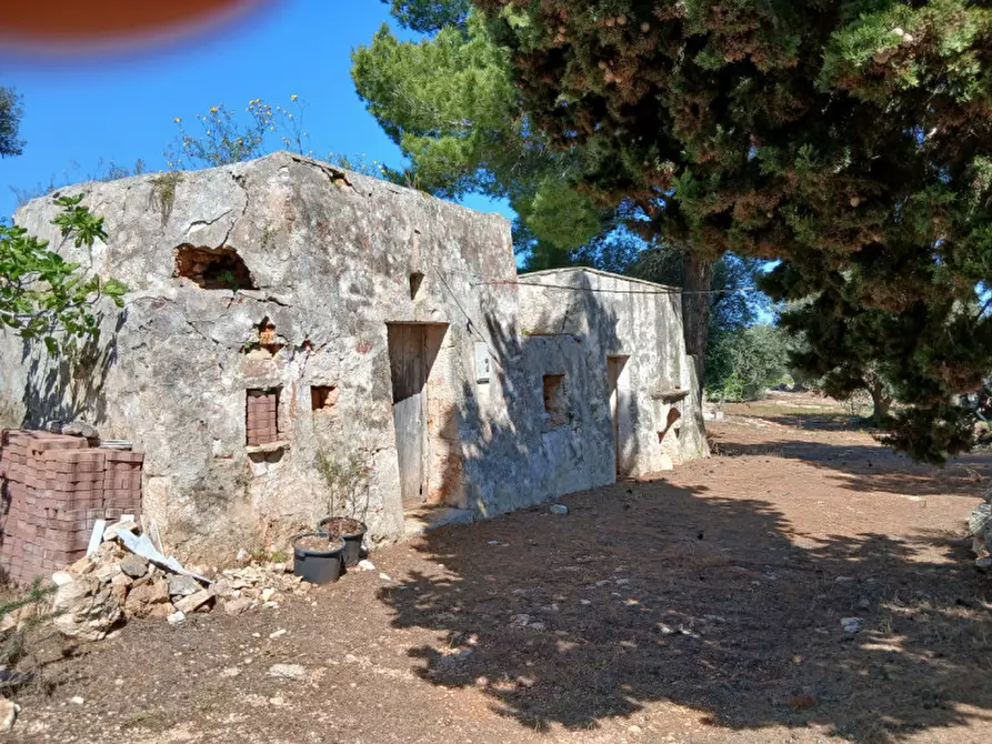 Immagine 3 di Rustico / casale in vendita  in C.da Sierri a Carovigno