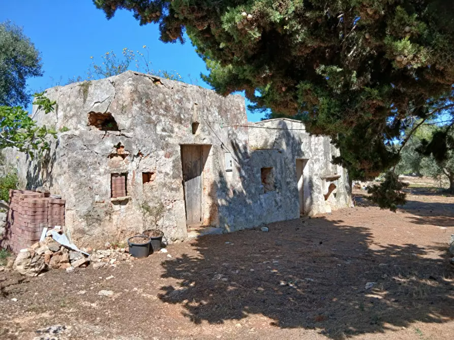 Immagine 4 di Rustico / casale in vendita  in C.da Sierri a Carovigno