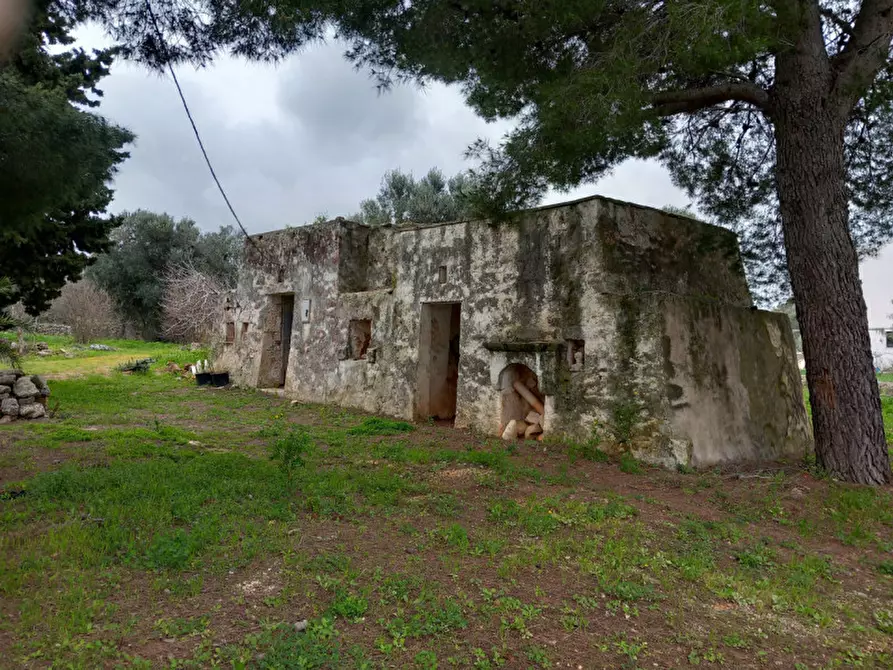 Immagine 6 di Rustico / casale in vendita  in C.da Sierri a Carovigno