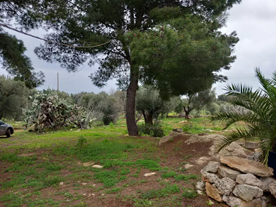 Immagine 16 di Rustico / casale in vendita  in C.da Sierri a Carovigno