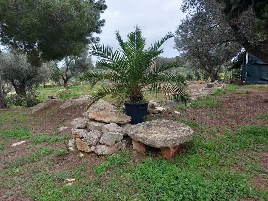 Immagine 17 di Rustico / casale in vendita  in C.da Sierri a Carovigno